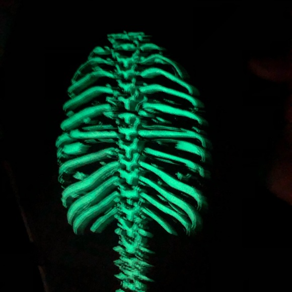 Halloween Bone Handle Coffin Style Crossbody - Glow in the Dark Skeleton art NWT - Picture 10 of 12